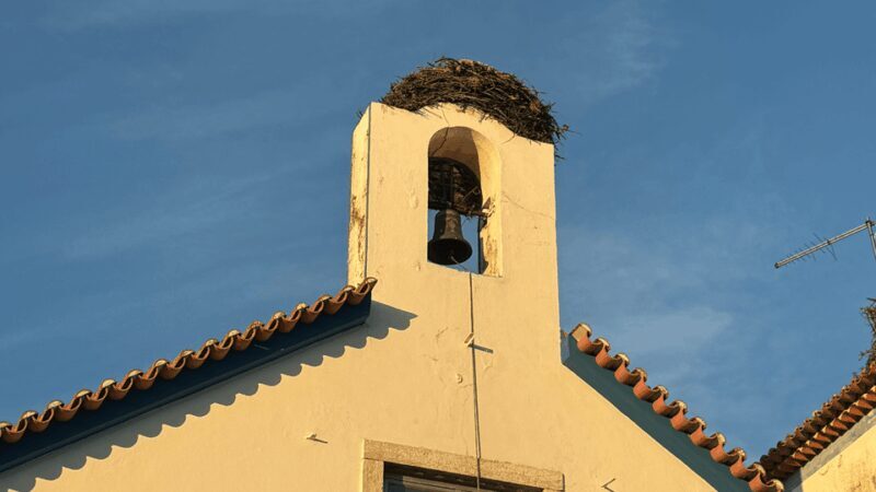 COMPORTA EXPERIENCE: LAND ROVER PREMIUM TOUR | PICNIC & DRONE INCLUDED - Final Takeaway