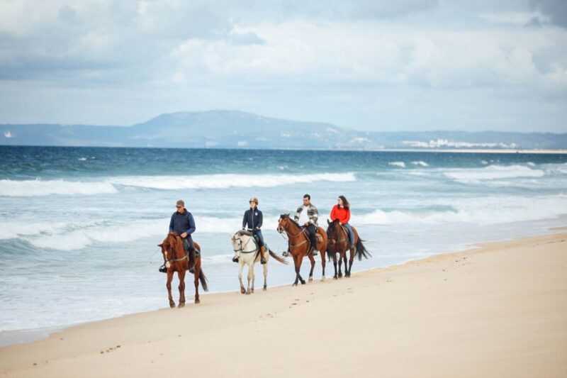 Comporta: Guided Horseback Riding Experience - How the Experience Comes Together