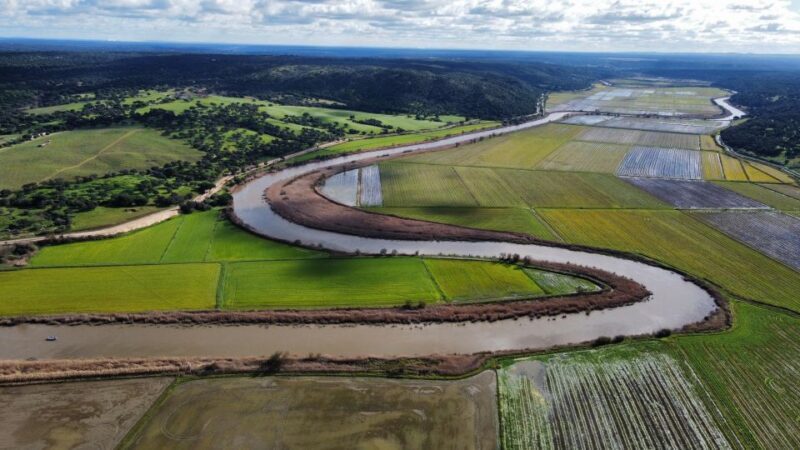 Comporta to Alcacer do Sal boat trip - Is It Worth the Price?