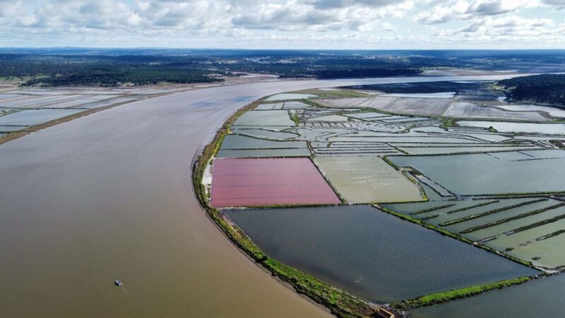Comporta to Arrábida Coast and Troia - Key Points
