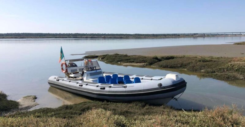 Comporta to Arrábida Coast and Troia - An In-Depth Look at the Comporta to Arrábida Coast and Troia Tour