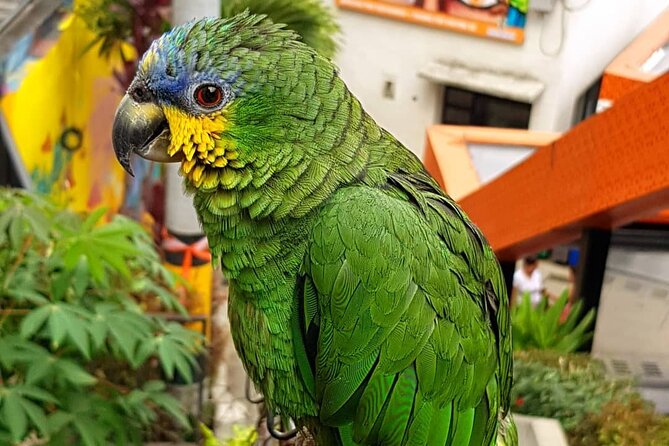 Comuna 13 Graffiti Tour with Street Food - Why Comuna 13 Feels Different From a Typical Graffiti Stop