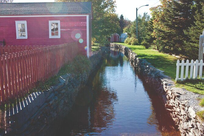 Conception Bay Tour Experience - Who Is This Tour Best For?