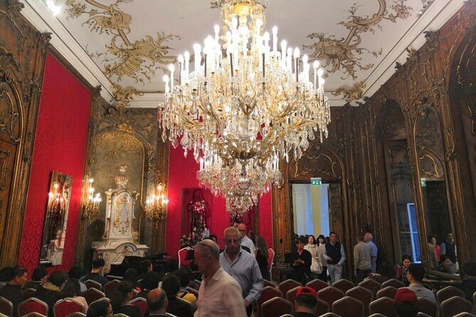 Concert at the Palais Schönborn-Batthyány by the Vienna Baroque Orchestra - The Performers: Talented and Engaged