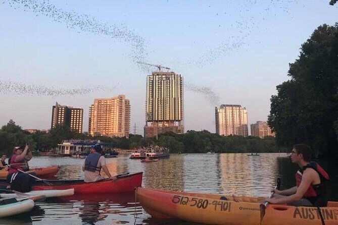 Congress Avenue Bat Bridge Kayak Tour in Austin - The Practicalities: What’s Included and What to Bring