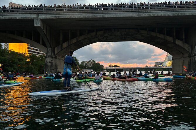 Congress Avenue Bat Bridge Paddleboard Tour - Key Points