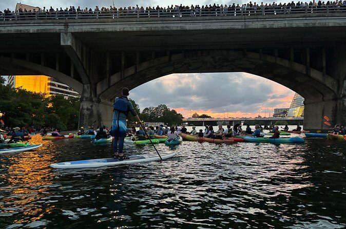 Congress Avenue Bat Bridge Paddleboard Tour - Who Will Love This Tour?