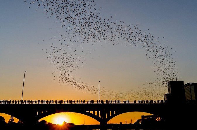 Congress Bridge Kayaking Bat Tour - The Practical Aspects