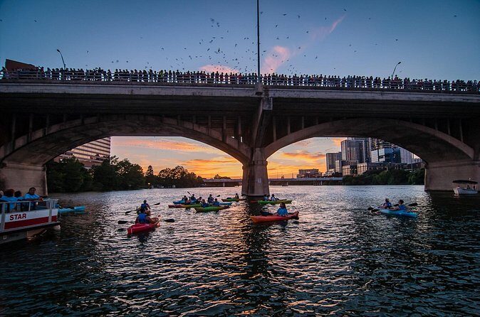 Congress Bridge Kayaking Bat Tour - Is it Family-Friendly?