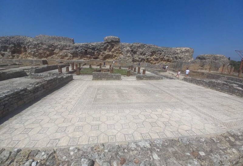 Conimbriga walking tour: the fascinating roman city - Who Will Love This Tour?