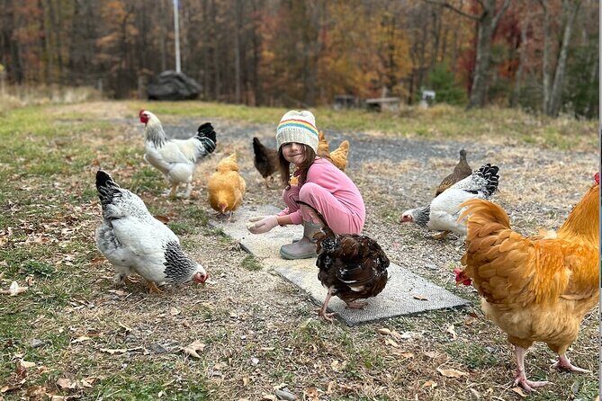 Connect with Rescue Animals on a Private Farm Tour in Catskills - Accessibility and Practical Details