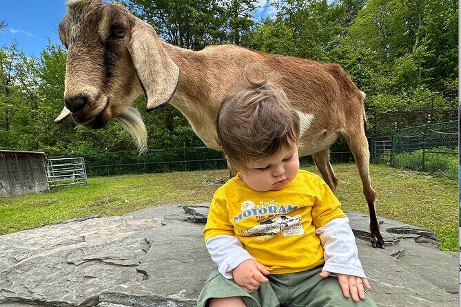 Connect with Rescue Animals on a Private Farm Tour in Catskills - Authenticity and Guest Feedback