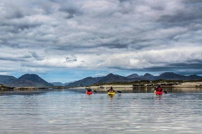 Connemara Coastal kayaking - Why This Tour Delivers Value