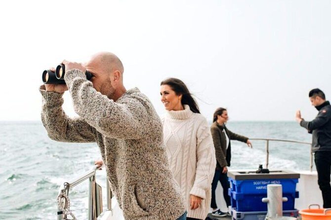 Connemara & Inishturk Island wildlife watching cruise. Private guided Full-day - The Experience: What to Expect from Start to Finish