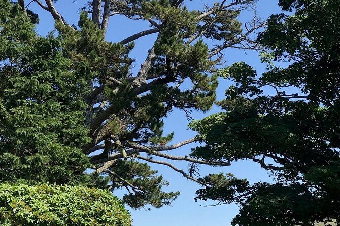 Connemara, Kylemore Abbey and Wild Atlantic Way tour from Galway - The Itinerary in Detail