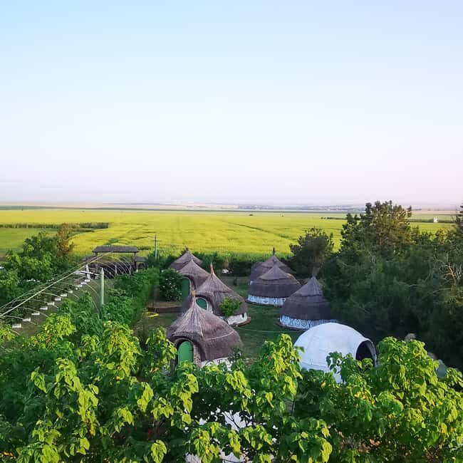 Constana: Ancient Histria Fortress and Local Wine Tasting - Key Points