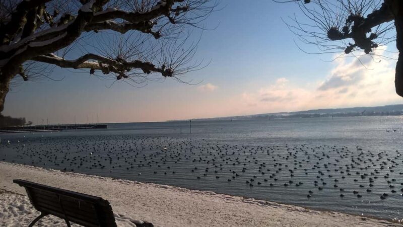 Constance: Private Winter Romantic City Tour with Lake Constance Winemaker's Mulled Wine - The Experience from Travelers’ Perspectives