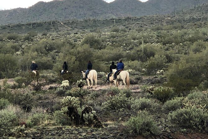 Contact us to book your time. Best Trail Rides in Arizona. - Who Should Consider This Experience?