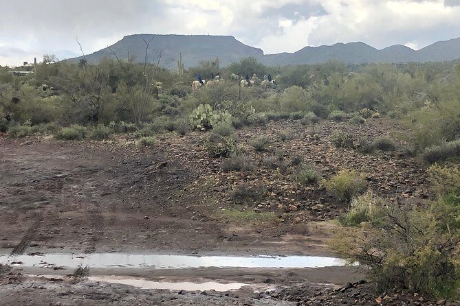 Contact us to book your time. Best Trail Rides in Arizona. - FAQs