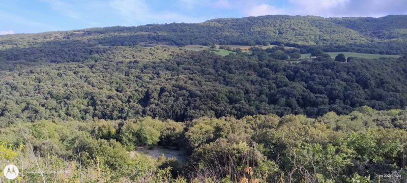 Contessa Entellina: Trekking on the Path of Beauty - FAQ