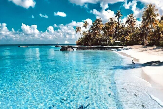 Contoy Adventure! Ixlache Reef Snorkel from Playa del Carmen - Practical Tips and Considerations