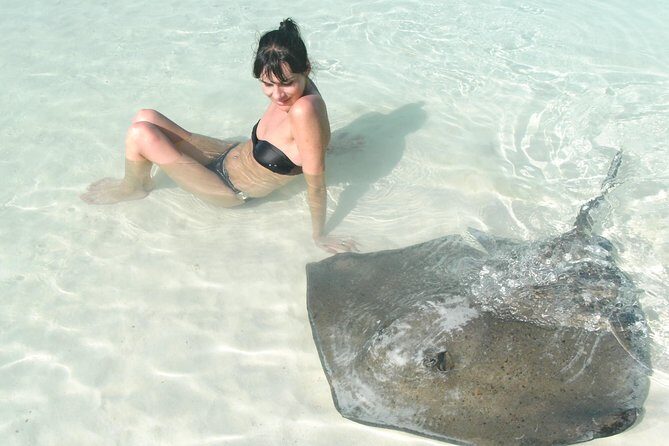 Contoy Island - Key Points