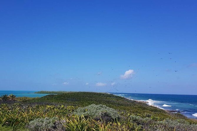 Contoy Island - Final Thoughts