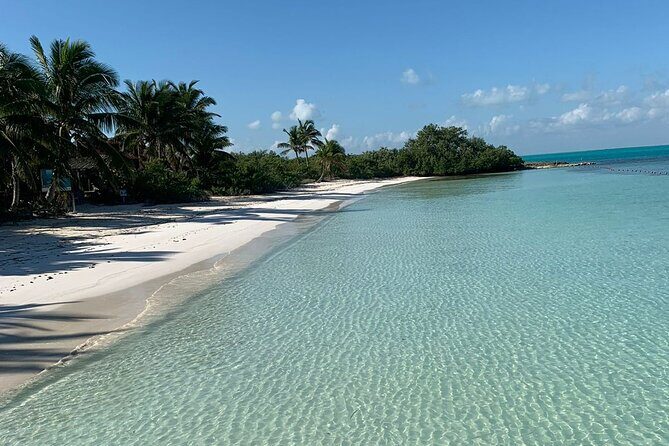 Contoy Island Tour from Cancun and Isla Mujeres with Snorkeling - Who Is This Tour Best For?