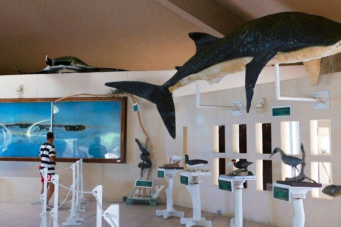 Contoy Island Tour from Cancun and Isla Mujeres with Snorkeling - Final Thoughts: Is It Worth It?