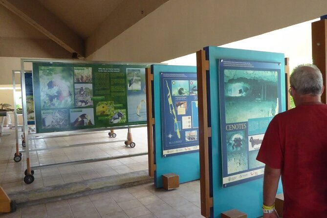 Contoy Island Tour from Cancun and Isla Mujeres with Snorkeling - FAQ