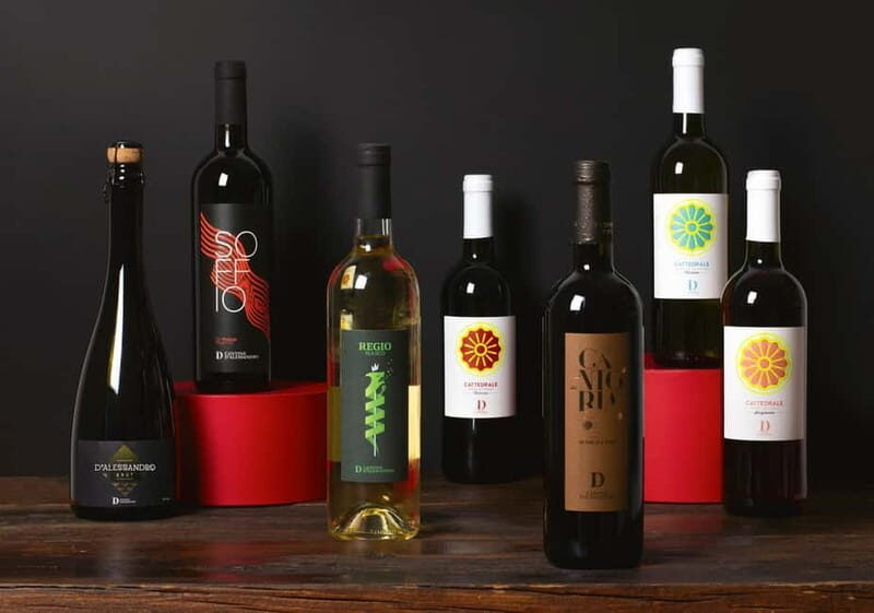 Conversano: wine tasting tour in the winery - Key Points