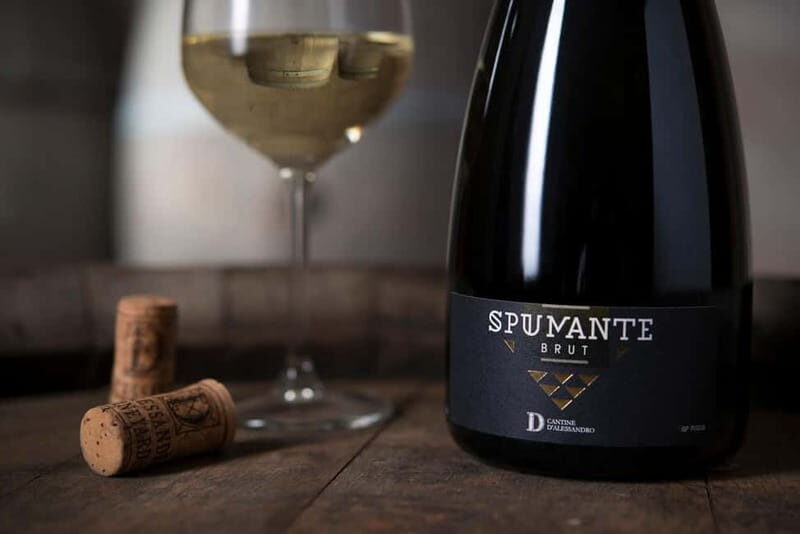 Conversano: wine tasting tour in the winery - A Closer Look at the Experience