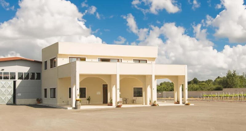 Conversano: wine tasting tour in the winery - The Overall Value