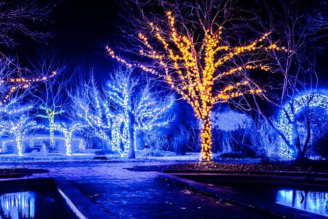 Cookeville Christmas Lights Luxury Tour in the RoadStallion - Key Points