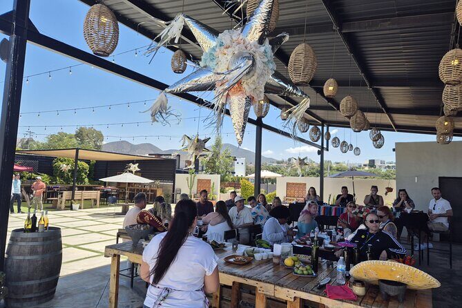 Cooking Class and Margarita Madness at Valle de Guadalupe - Final Thoughts