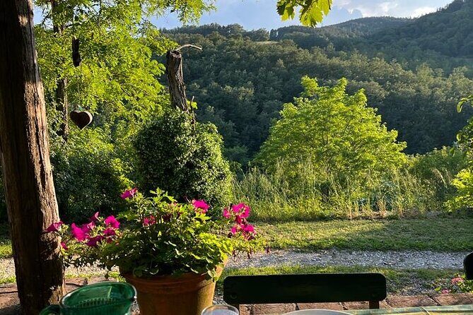 Cooking Class for Pasta Lovers in Florence Country House - The Authentic Tuscany Atmosphere