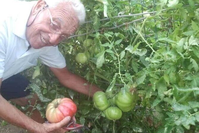 Cooking class in Capri for small groups - The Practical Details