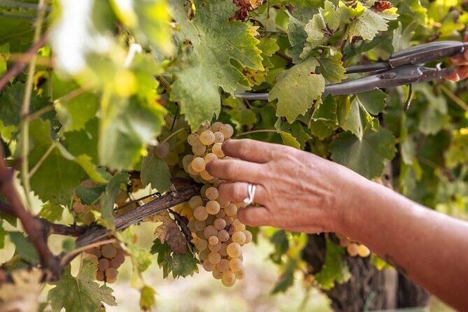 Cooking Class: Italian Authentic Recipes with Lunch - FAQ about the Siena Cooking Class