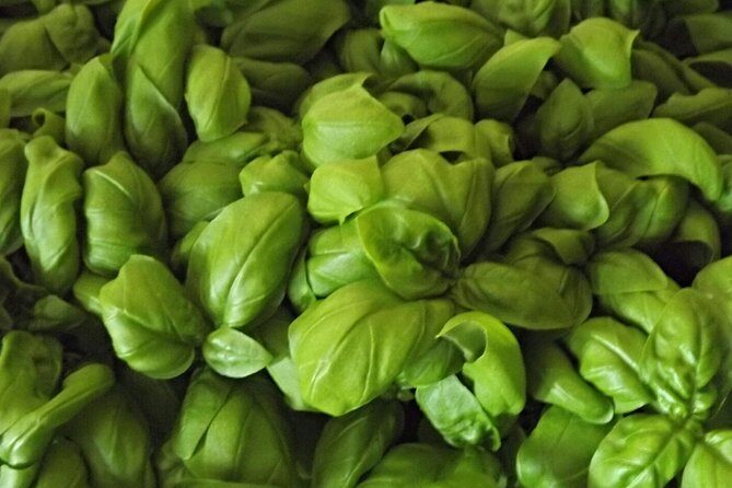 Cooking Class Pesto Sauce - The Authenticity and Cultural Significance