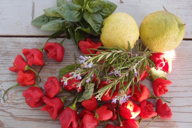 Cooking class, traditional Greek cuisine, on a Greek island - FAQs