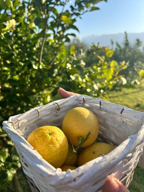 Cooking Class w/Italian Mamma from Pompei! - Final Thoughts