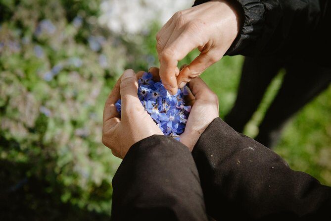 Cooking class: We prepare orecchiette with vegetables from the garden - Key Points