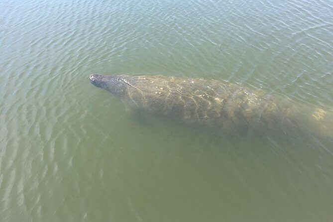 Copacetic Day Sail - Is It Worth the Price?