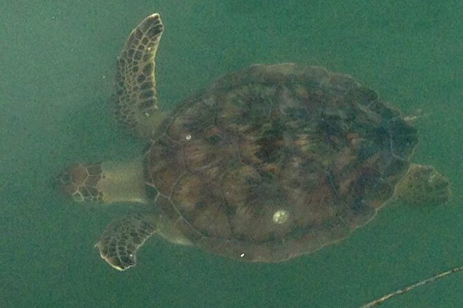 Copacetic Day Sail - Who Would Love This Tour?