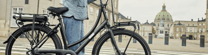 Copenhagen: 3 Hour Extended Grand E-Bike Guided Tour - Practical Details: What You Need to Know