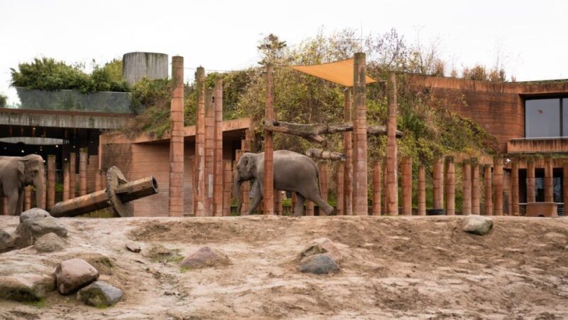 Copenhagen: City Card with 40+ Attractions & Hop-On/Off Bus - Navigating the Transportation