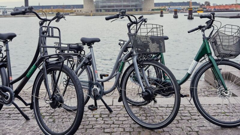 Copenhagen E-Bike Rental - Why Rent an E-Bike in Copenhagen?