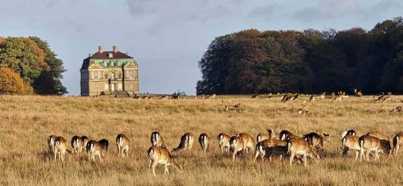 Copenhagen: Guided Tour Deer Park in Klampenborg - Key Points