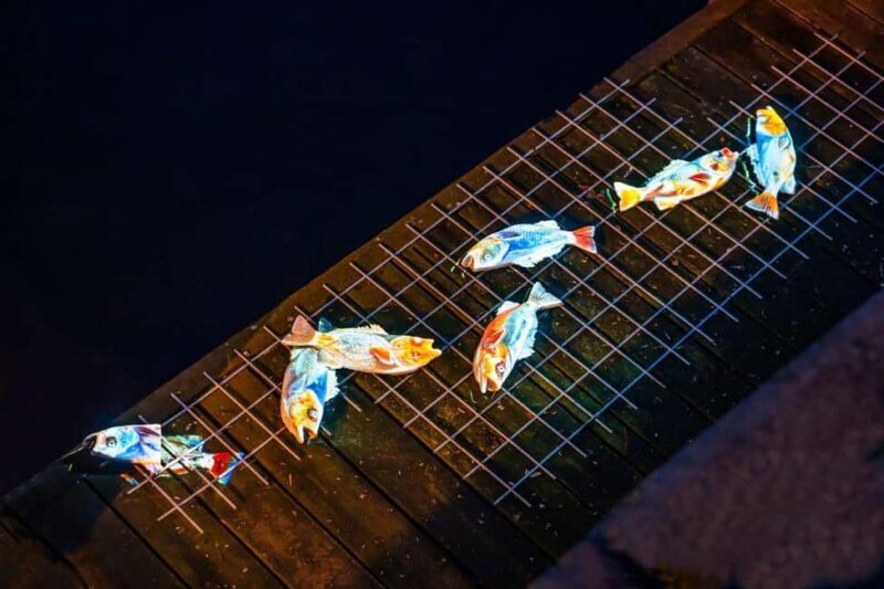 Copenhagen: Light Festival Canal Tour on Electric Boat - Who Will Love This Tour?