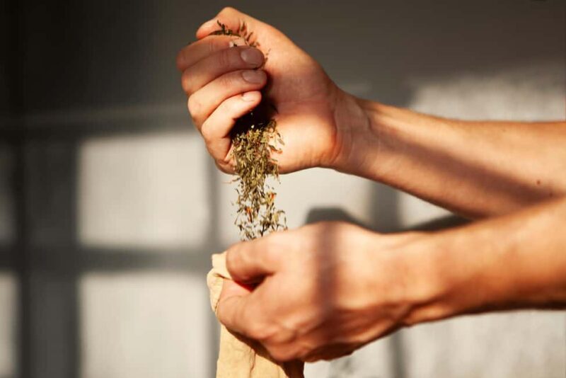 Copenhagen: Locally Brewed Kombucha Tasting Experience - Duration and Logistics